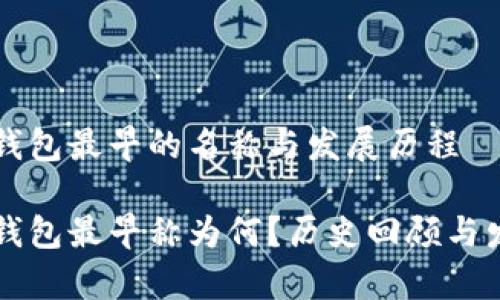 比特币钱包最早的名称与发展历程

比特币钱包最早称为何？历史回顾与发展分析