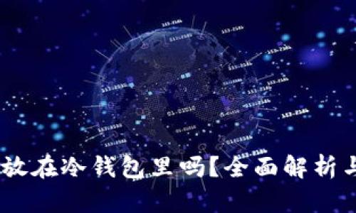 USDT可以放在冷钱包里吗？全面解析与使用指南