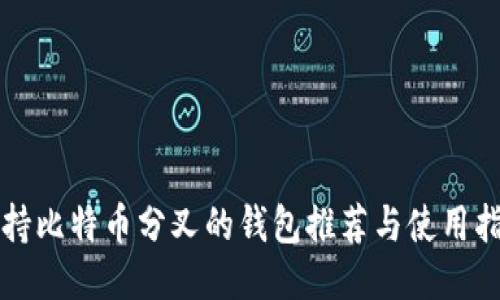 支持比特币分叉的钱包推荐与使用指南