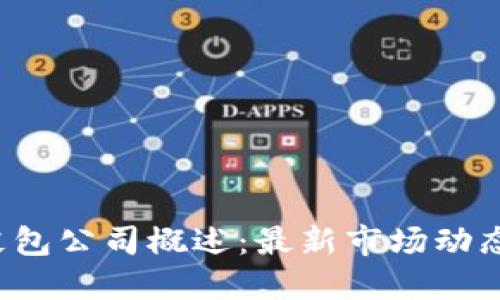 国内Web3皮包公司概述：最新市场动态与未来趋势