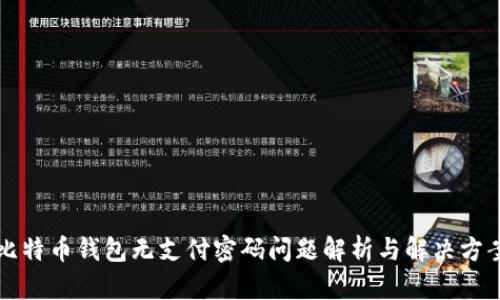 比特币钱包无支付密码问题解析与解决方案