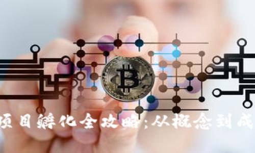 新加坡Web3项目孵化全攻略：从概念到成功的全面指南