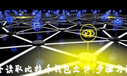 
如何安全读取比特币钱包文件：步骤与注意事项