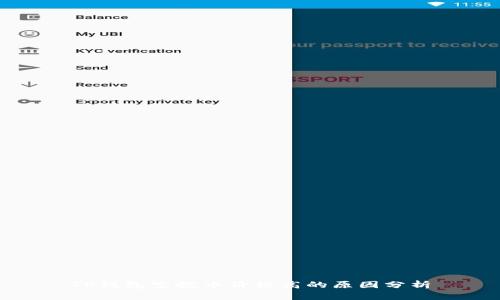 TP钱包空投币价格高的原因分析