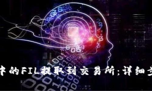 如何将TP钱包中的FIL提取到交易所：详细步骤与注意事项