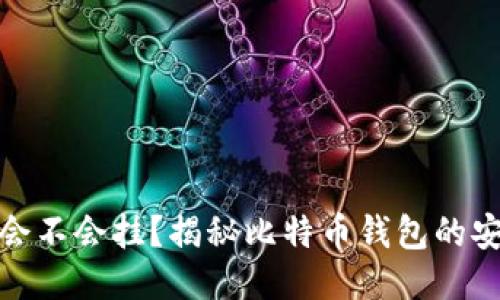 比特币钱包会不会挂？揭秘比特币钱包的安全性与风险