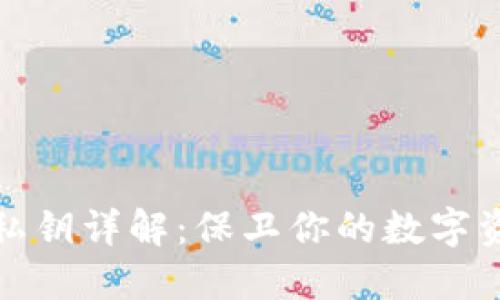 TP钱包私钥详解：保卫你的数字资产安全