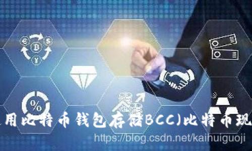 如何选择和使用比特币钱包存储BCC（比特币现金）：全面指南